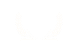 Innovation Award 2024